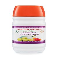Брахми Расаянам джем - тоник для нервной системы / 500 г, Santana Herbals