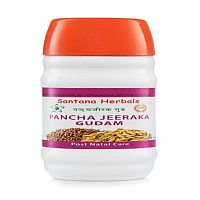 Панча Джирака Гудам джем - восстановление после родов / 200 г, Santana Herbals (срок годности - по июль 2024 г включительно)